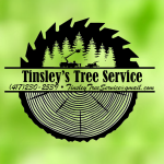 Profile picture of Jeremy Tinsley